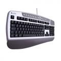 Ergo-Multimedia, 19-Hot Keys, PalmRest, PS/2, Black   (US+RU+RO)